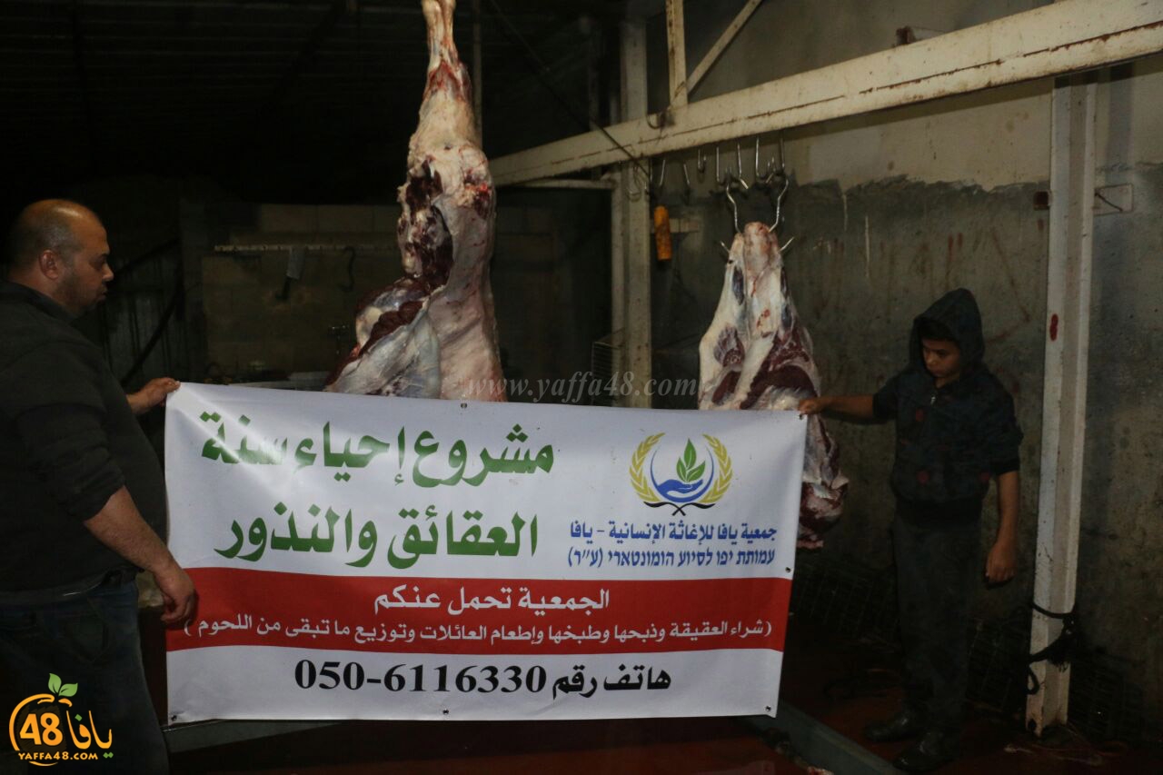 mashro3 ada7yau (11).jpg